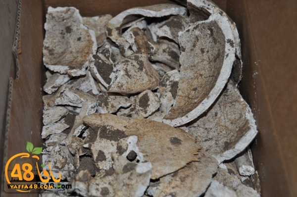 maqbara qeshleah (3).JPG